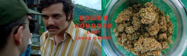 круглые Корсаков