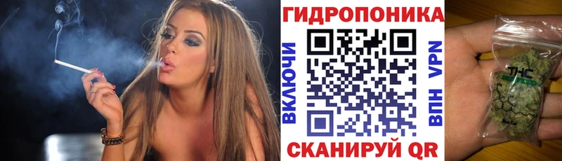МАРИХУАНА THC 21% Кинешма